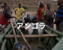 アンゴラの治安・テロ・危険・安全