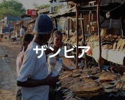 ザンビアの治安・テロ・危険・安全